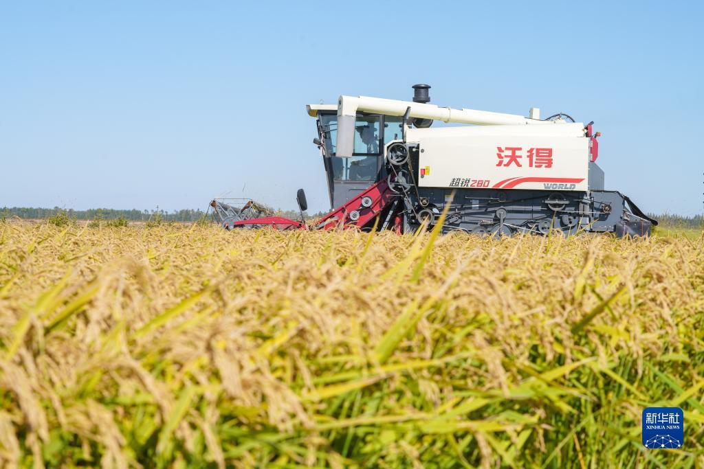 合乐888官网